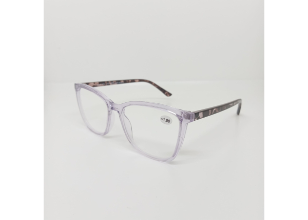 Готовые очки Read WDL p737