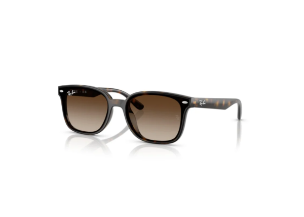 RAY BAN 0RB4461D 710/13 64 Солнцезащитные очки