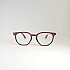 Готовые очки Read WDL p319