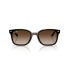 RAY BAN 0RB4461D 710/13 64 Солнцезащитные очки