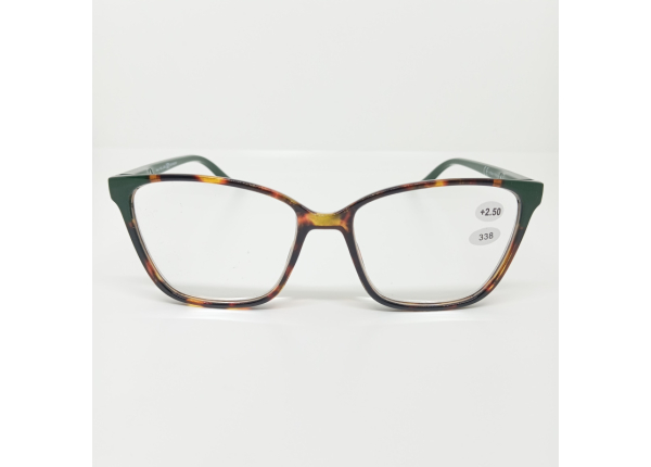 Готовые очки Read WDL p338