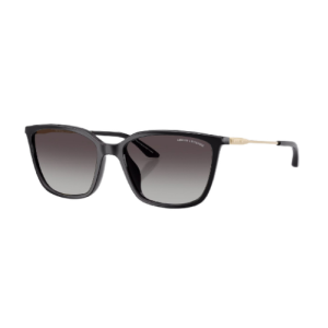 ARMANI EXCHANGE 4171SU 81588G Солнцезащитные очки