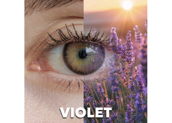 WDL COLOR MONTHLY VIOLET