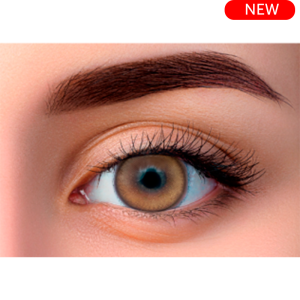 WDL COLOR MONTHLY HONEY