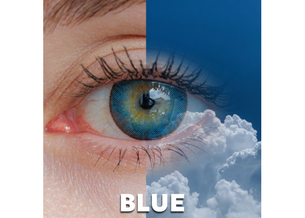 WDL COLOR MONTHLY BLUE