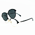 Оправа SUNNY DAYS (with clip) 8029