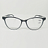 Готовые очки Read WDL p337