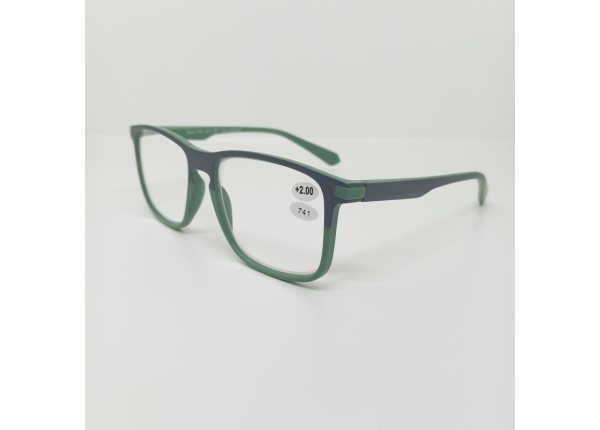 Готовые очки Read WDL p741