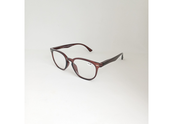Готовые очки Read WDL p319