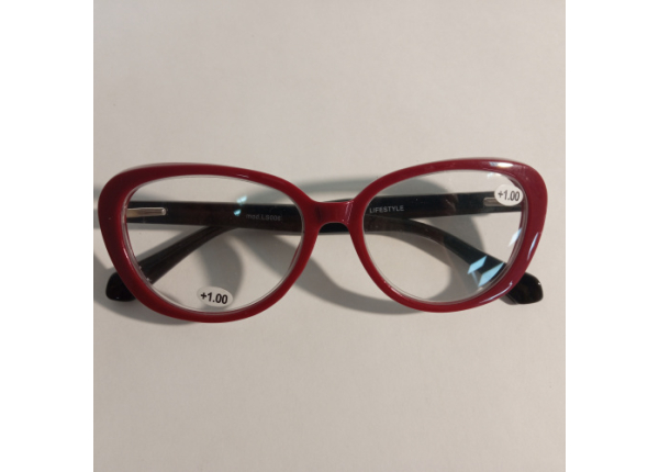 Готовые очки LIFESTYLE LS006