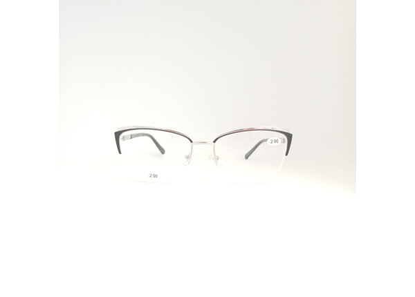 Готовые очки LIFESTYLE LF104