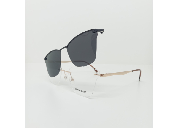 Оправа SUNNY DAYS (with clip) DC3060