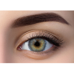 WDL COLOR MONTHLY GRAY