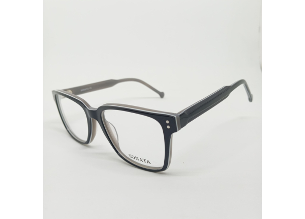 Оправа SONATA 5008