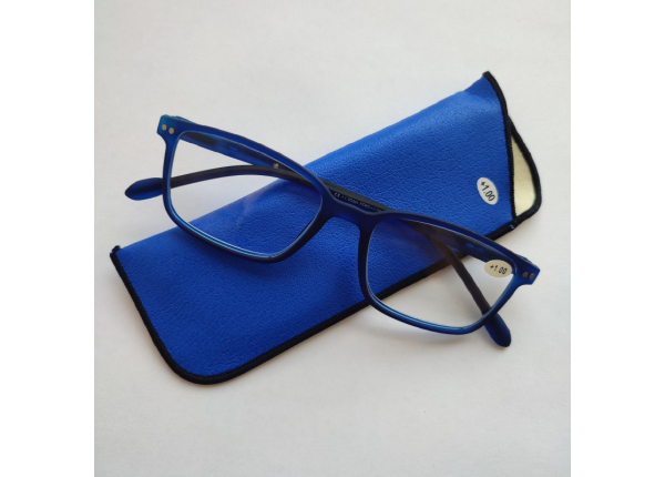 Готовые очки Read WDL p306