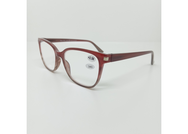 Готовые очки Read WDL p340