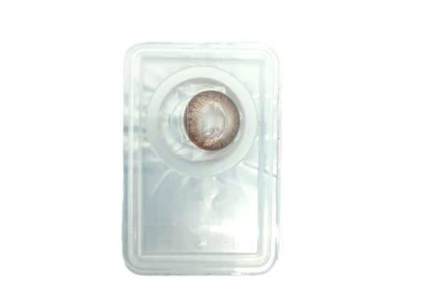 WDL COLOR MONTHLY BROWN