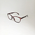 Готовые очки Read WDL p319