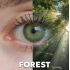 WDL COLOR MONTHLY FOREST