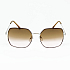 COZZO B80-286 Солнцезащитные очки