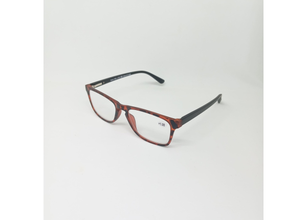 Готовые очки Read WDL p732