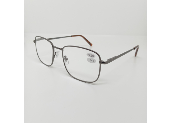 Готовые очки Read WDL p746