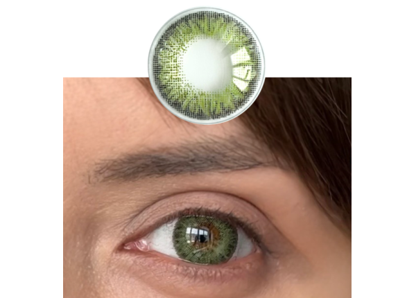 WDL COLOR MONTHLY FOREST