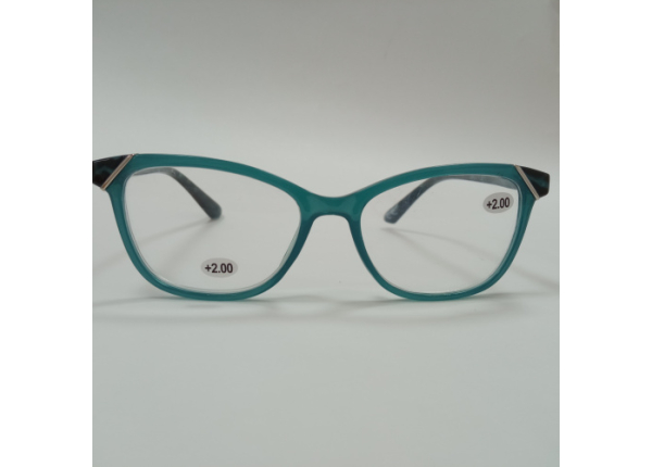 Готовые очки LIFESTYLE LS013