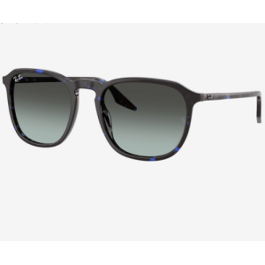 RAY BAN 0RB2203 1430GK 55 Солнцезащитные очки