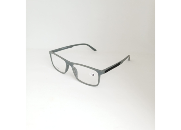 Готовые очки LIFESTYLE LS014