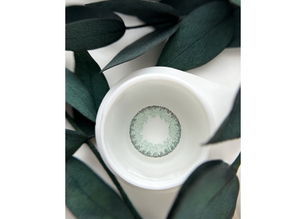 WDL COLOR MONTHLY MOJITO