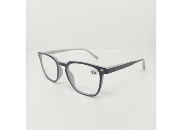 Готовые очки Read WDL p331