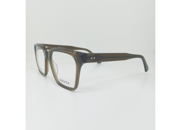 Оправа SONATA HA139