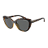 ARMANI 0AX4111SU 821387 54 Солнцезащитные очки