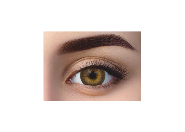 WDL COLOR MONTHLY BROWN