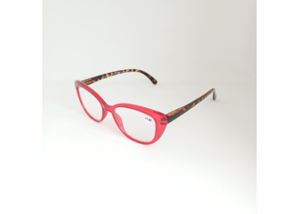 Готовые очки Read WDL p704