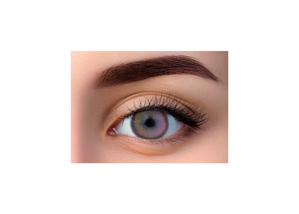 WDL COLOR MONTHLY VIOLET